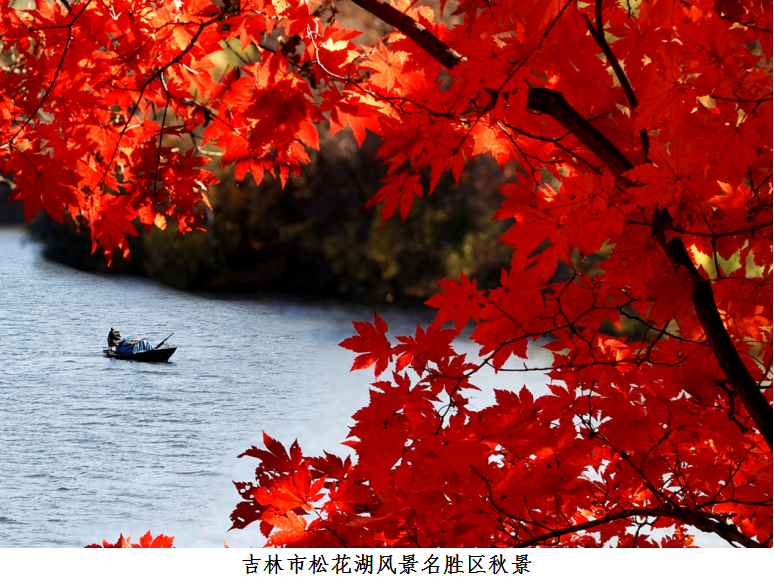 /uploads/allimg/210924/1F2031356-4.png