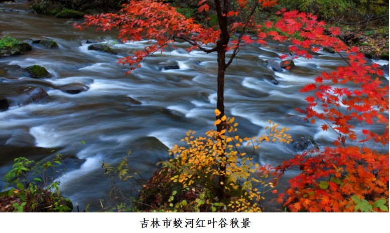 /uploads/allimg/210924/1F203L27-5.png